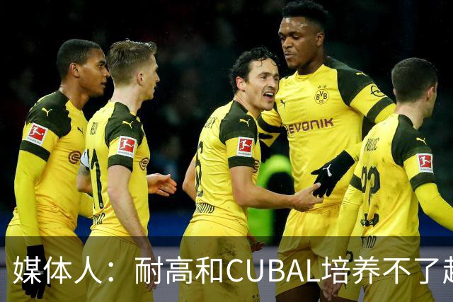 媒体人：耐高&CUBAL培养不了赵博新&张宇辰这些好苗子 赶紧送出国